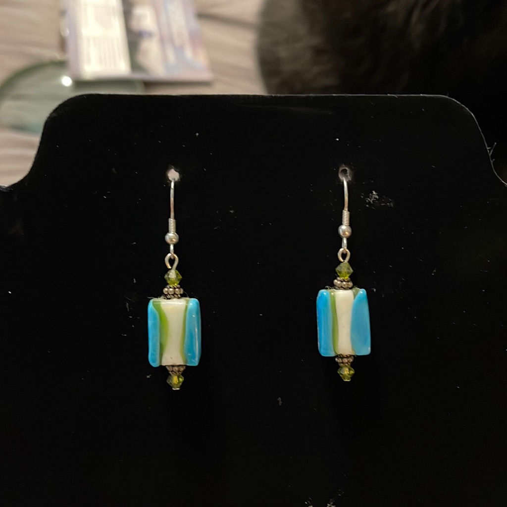 Nwot Rectangular Drop Earrings
